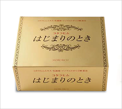 コタラヒム はじまりのとき