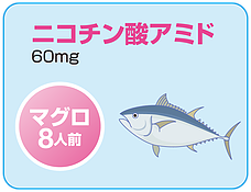 ニコチン酸アミド